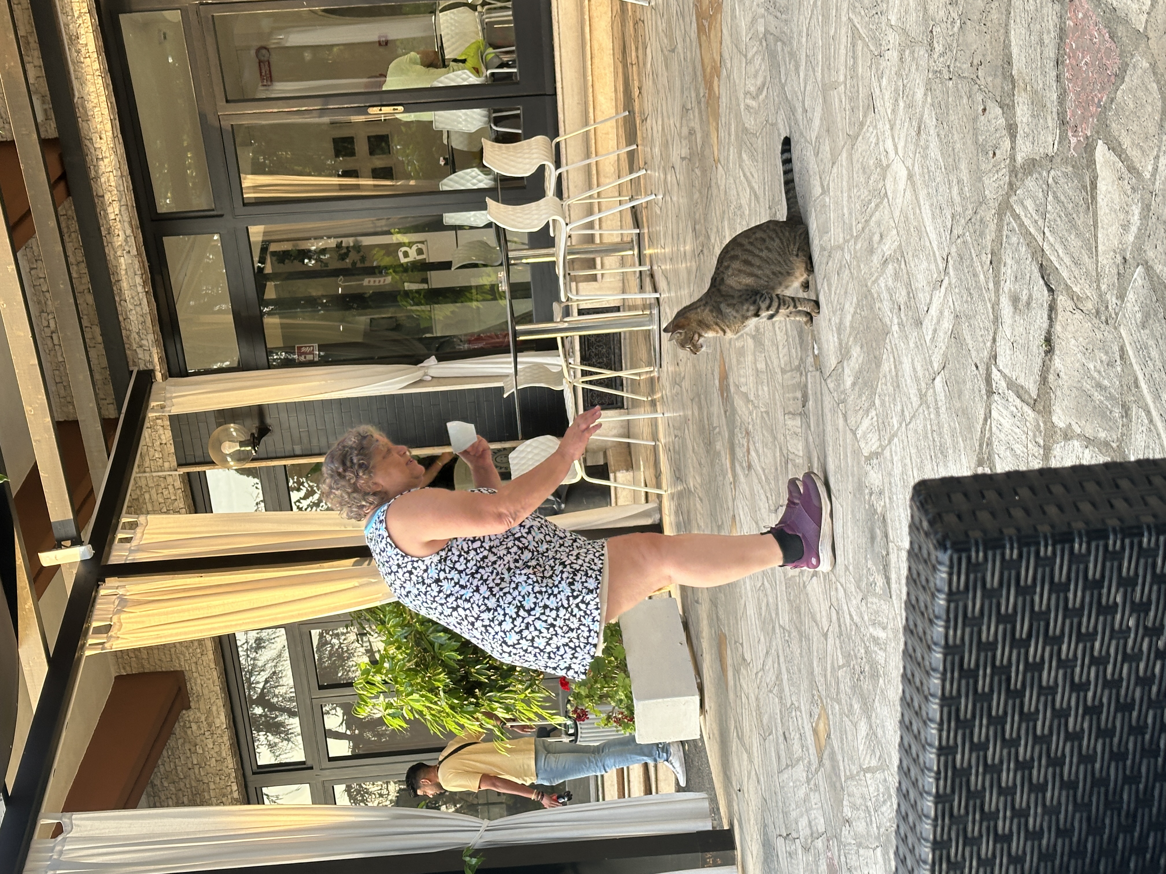 A cat in Italy