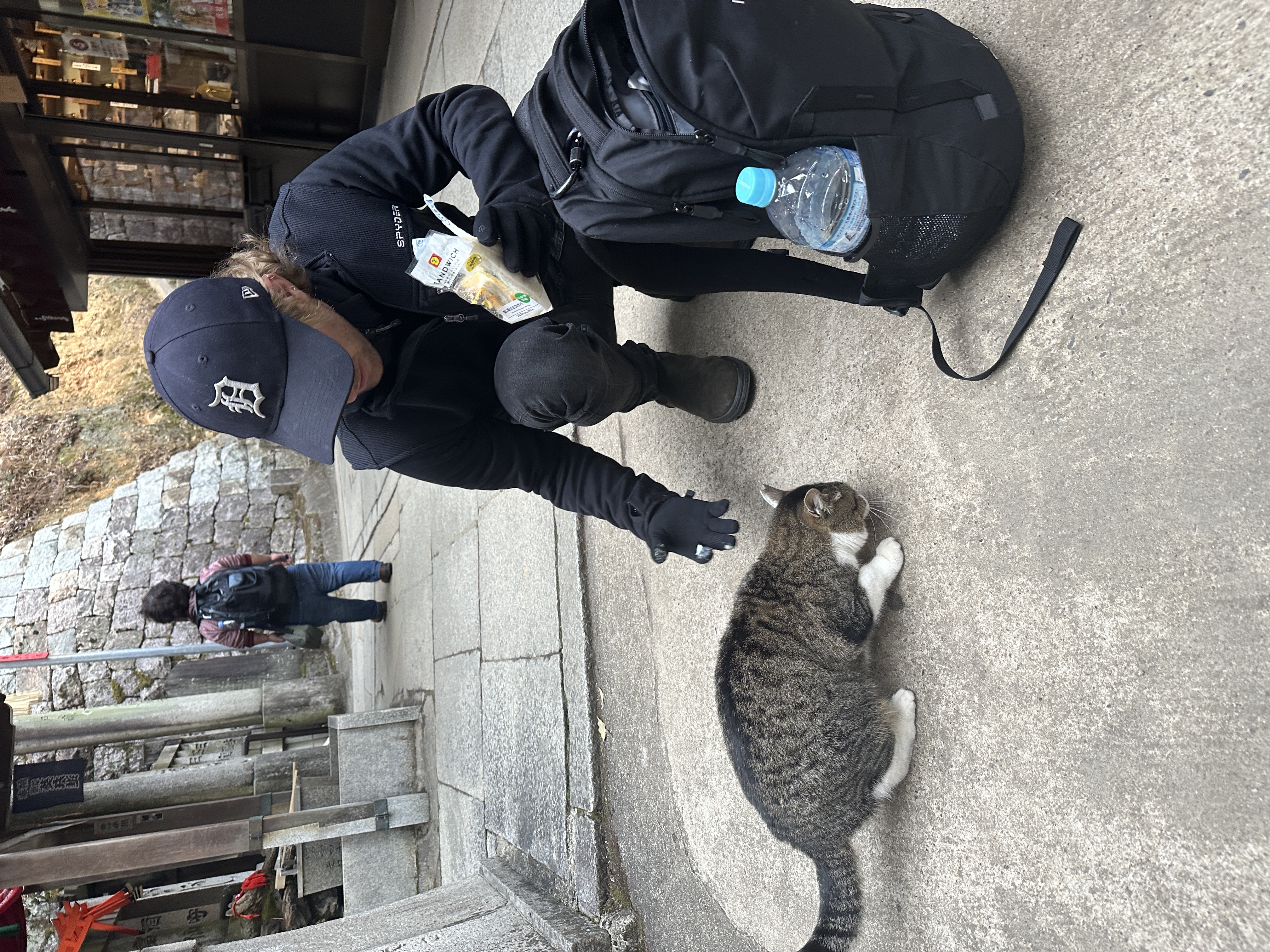 A cat in Japan