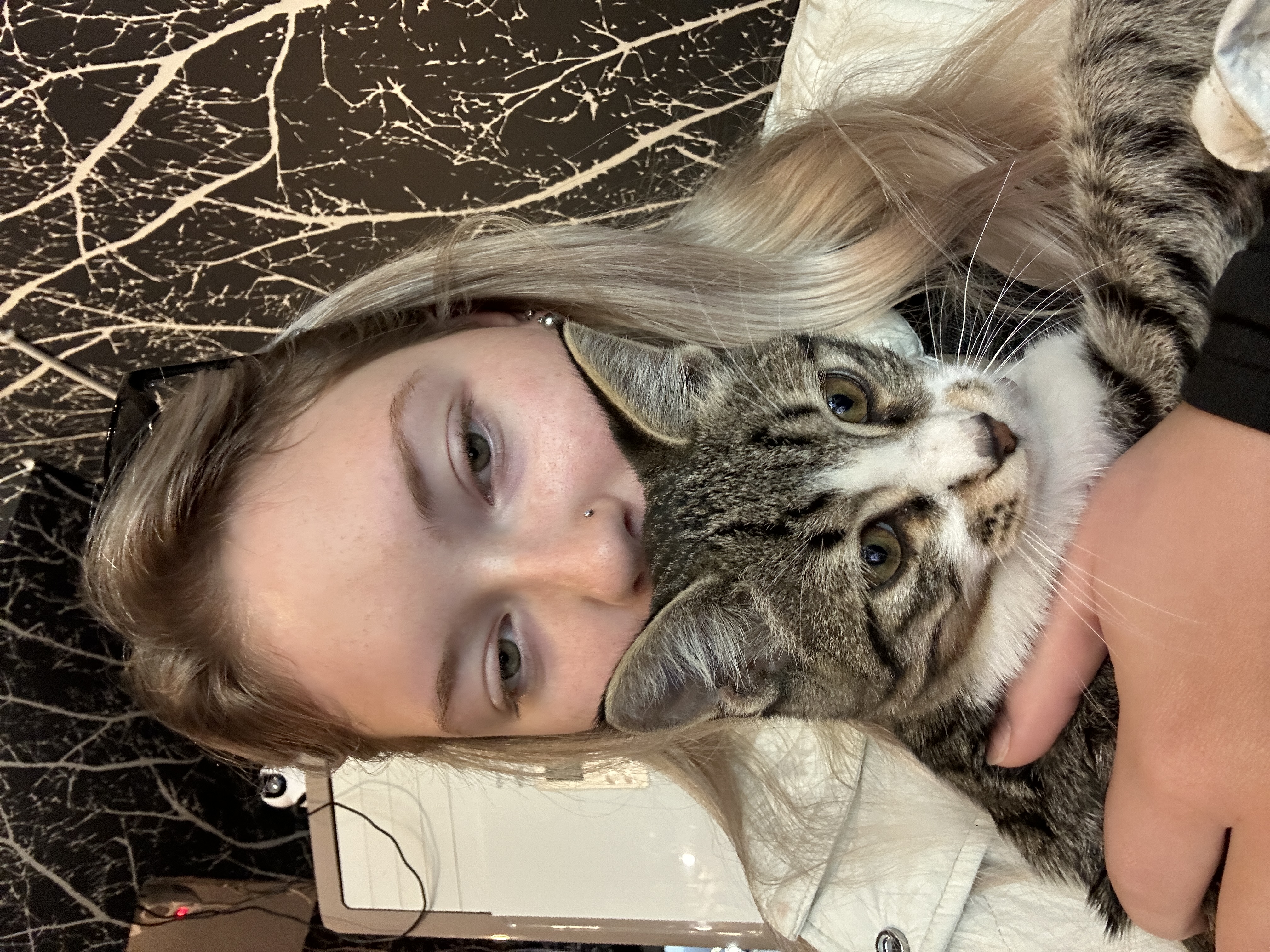 A cat in Turkey